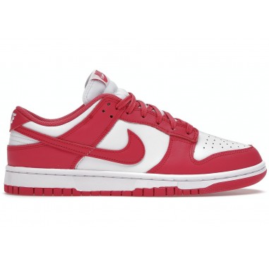 NIKE DUNK SB LOW Rosse