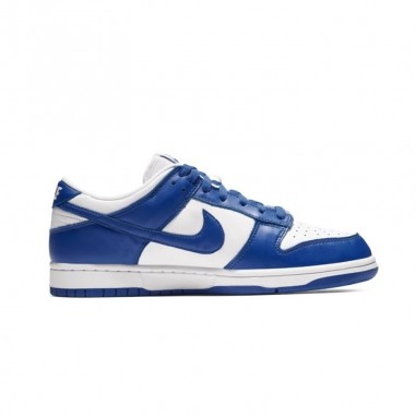 NIKE DUNK SB LOW Weiß und Blau